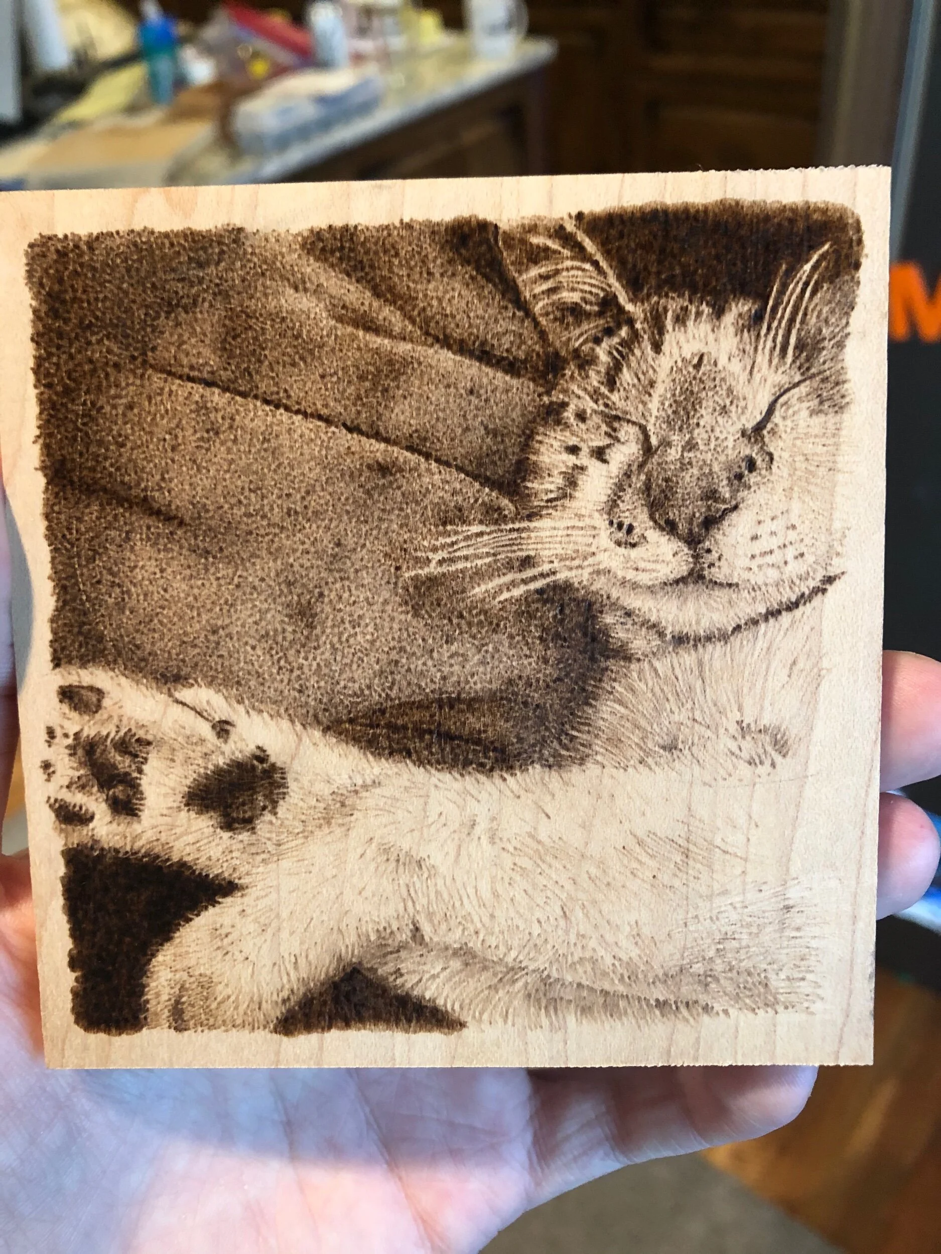 55DB5561-B519-4801-BA21-EEA3155A0088