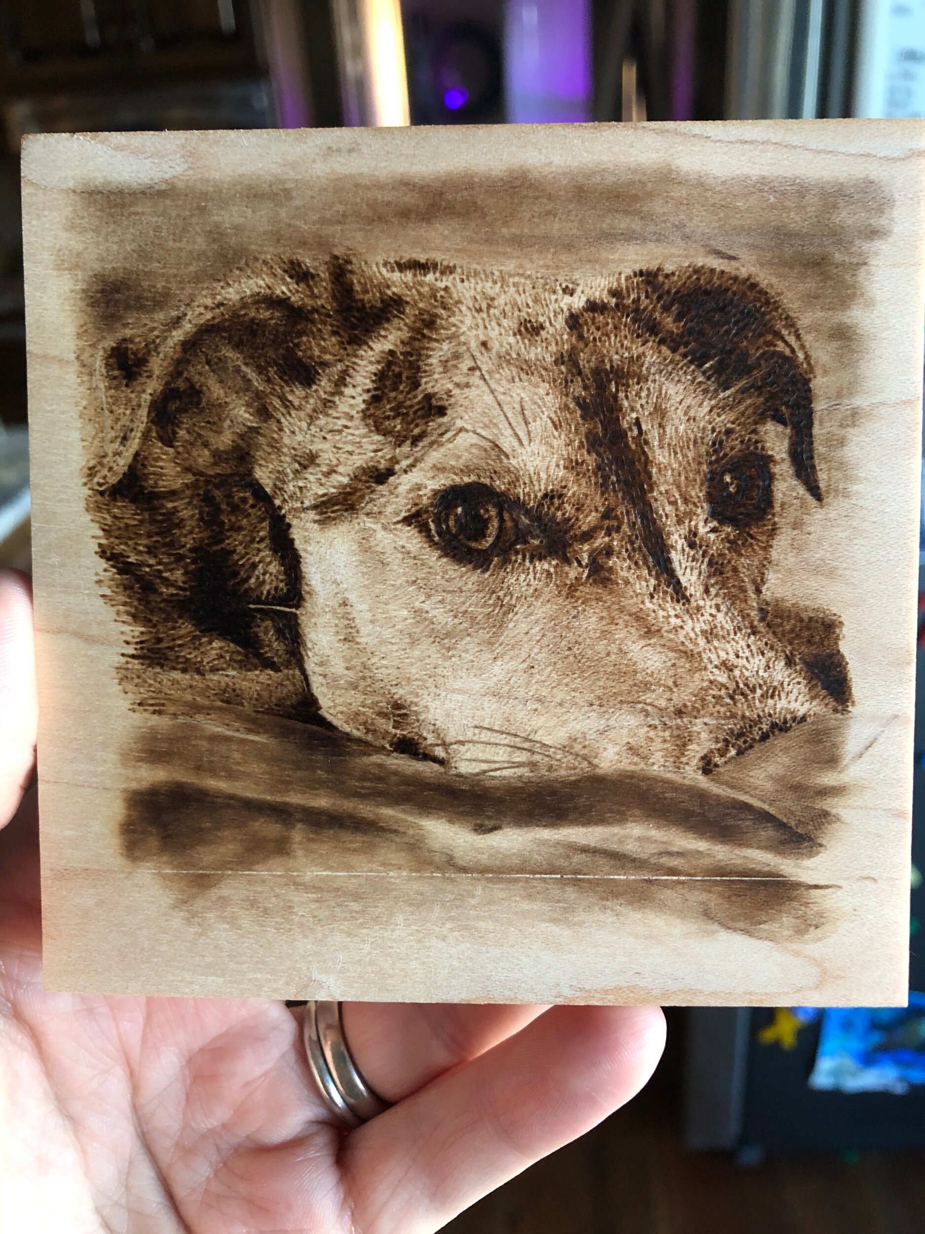 FFE90AC1-4CFC-49BB-A74F-519829181B0B