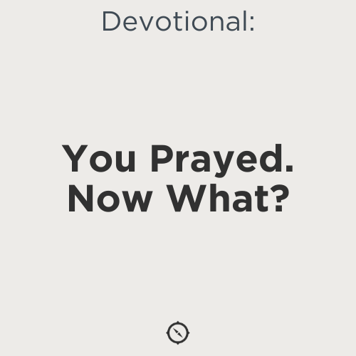 notes cover (39).png