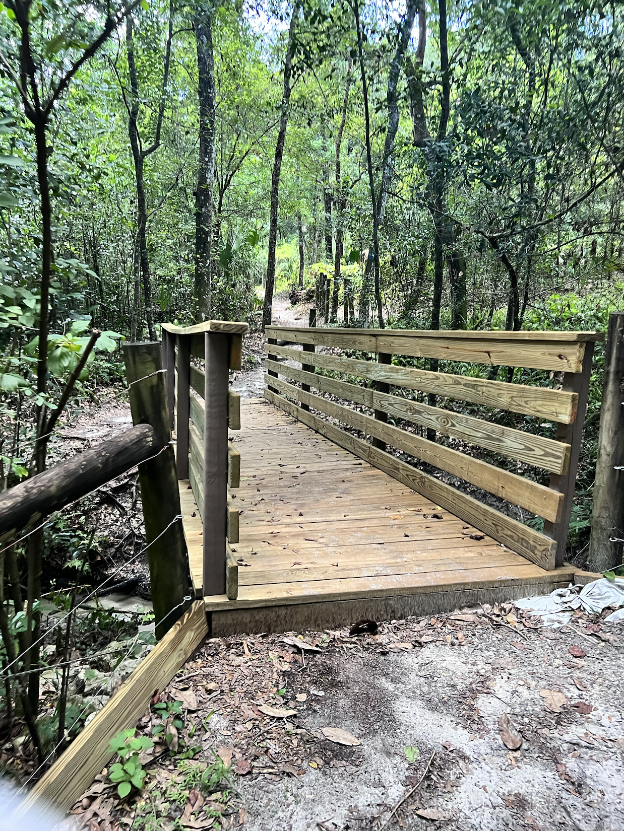 Wooden bridge in a forested trail with lush green trees surrounding it, leading to a dirt path.