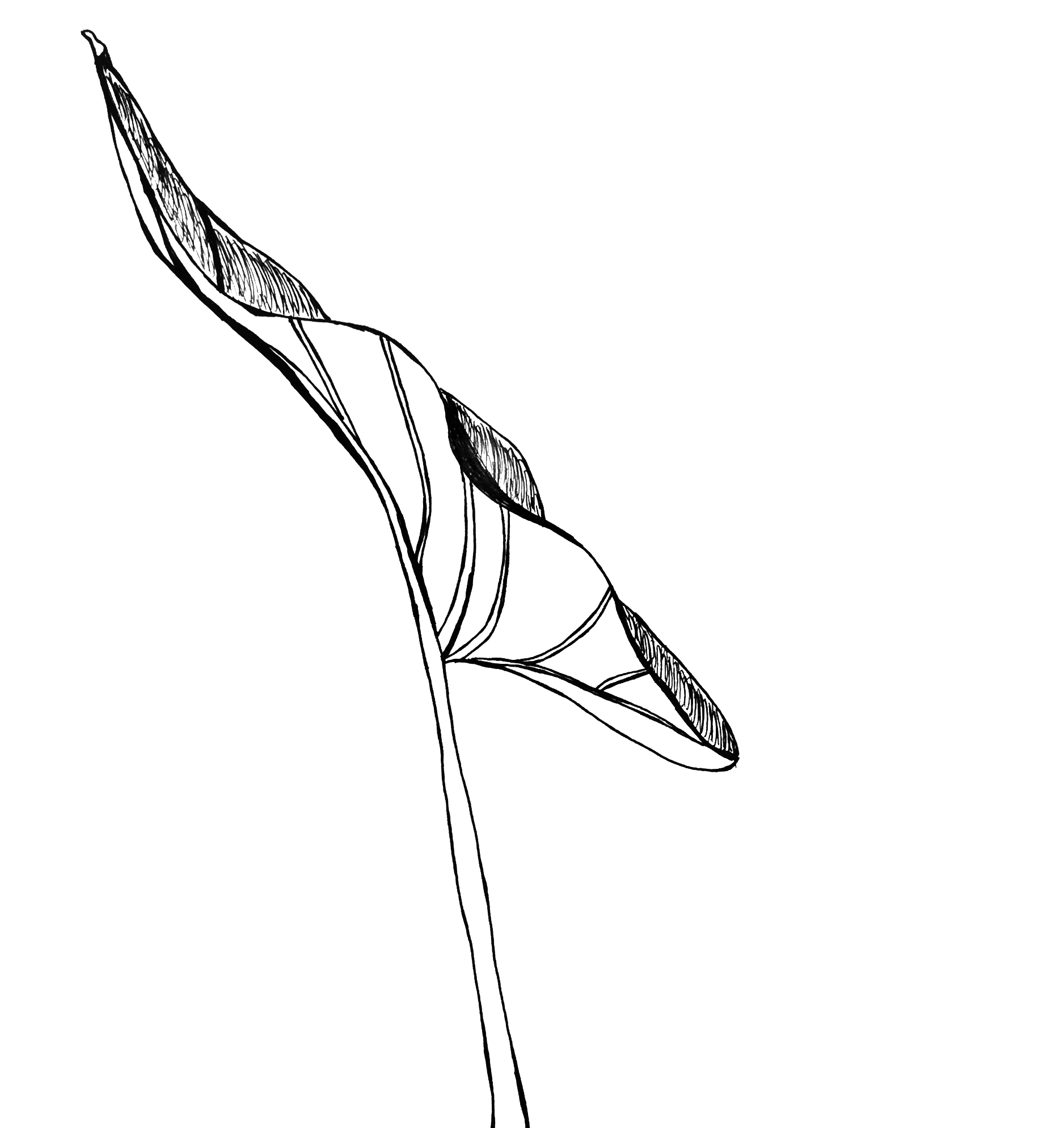 2017-07-31.png