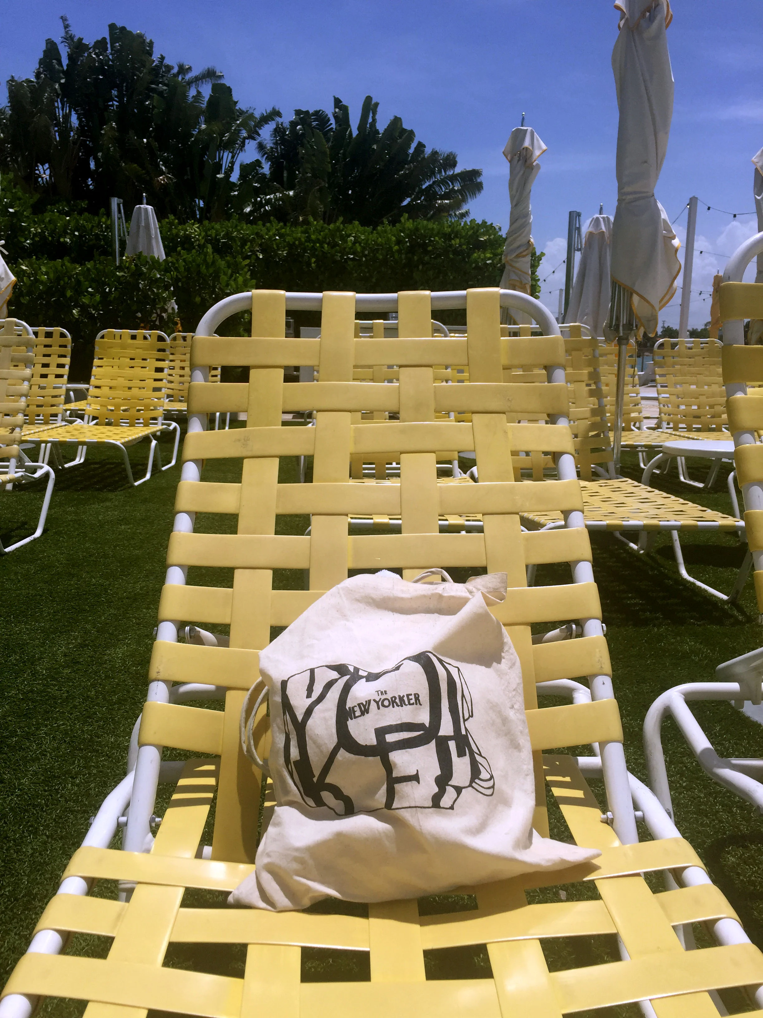 bag yellow.jpg