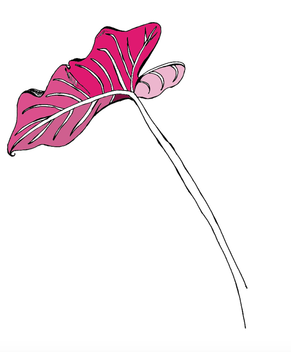 lil pink plant.jpg