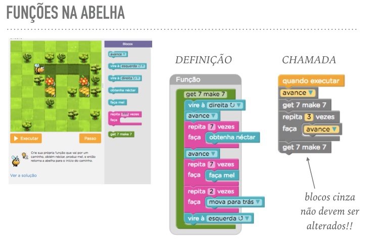 Conceito de Função aplicado à Abelha