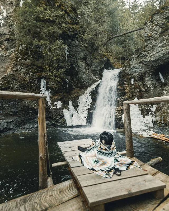 This little guy was the perfect model. I think once he was wrapped up he could have stayed there forever.