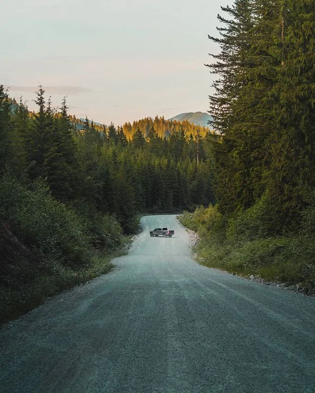 Sometimes it's nice to just get out of the house and drive down a random road and see what you find.