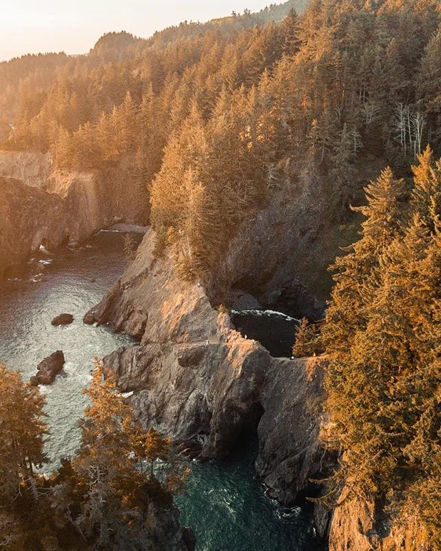 I'm super excited that fall is just around the corner. It's always been my favourite season for photography