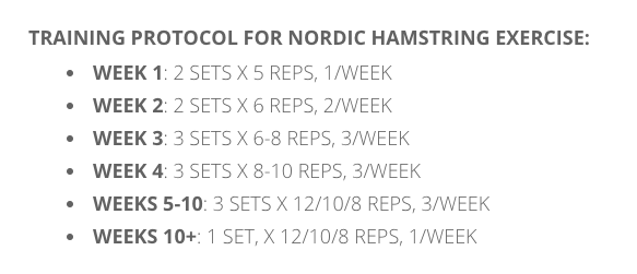 Nordic HS curl protocol.png