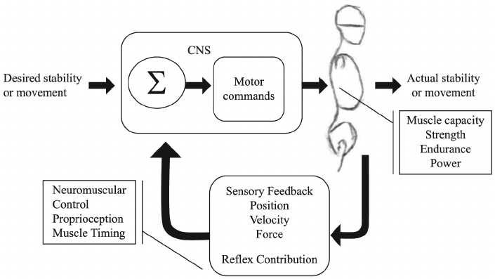NM system schematic Credit - Sheri Silfies.png