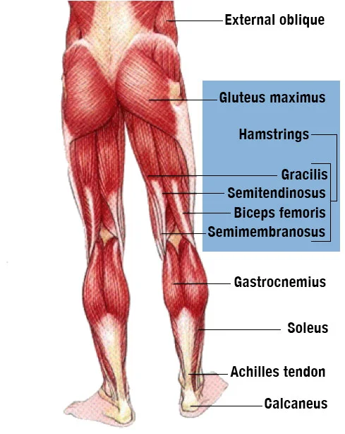 Credit - Austin Sports Therapy