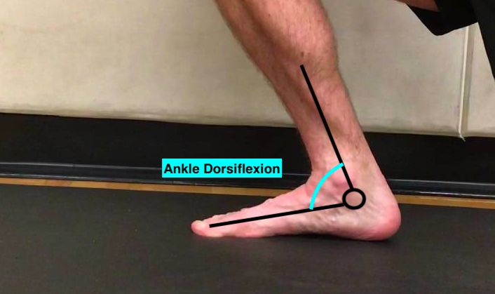 Ankle Dorsiflexion.png