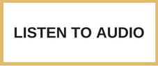 AUDIO BUTTON.png