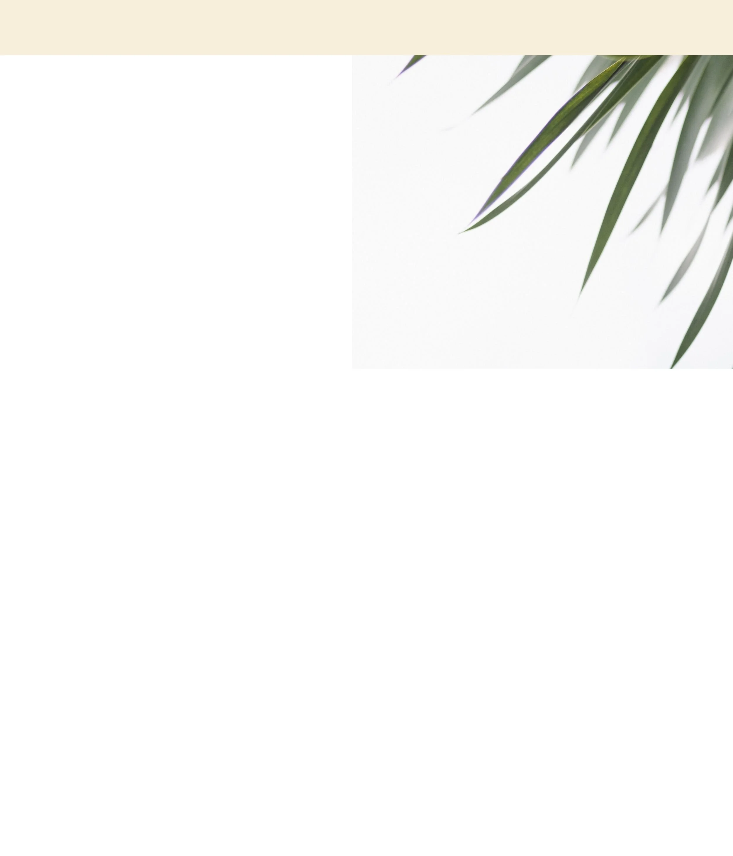 About5PalmRight.jpg
