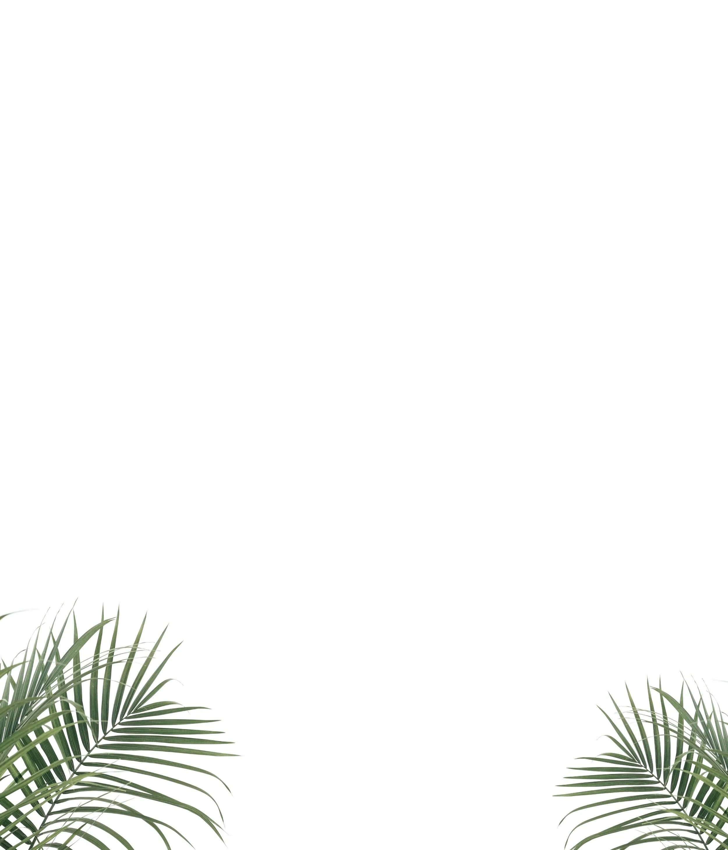 Home9 Edge Palms.jpg