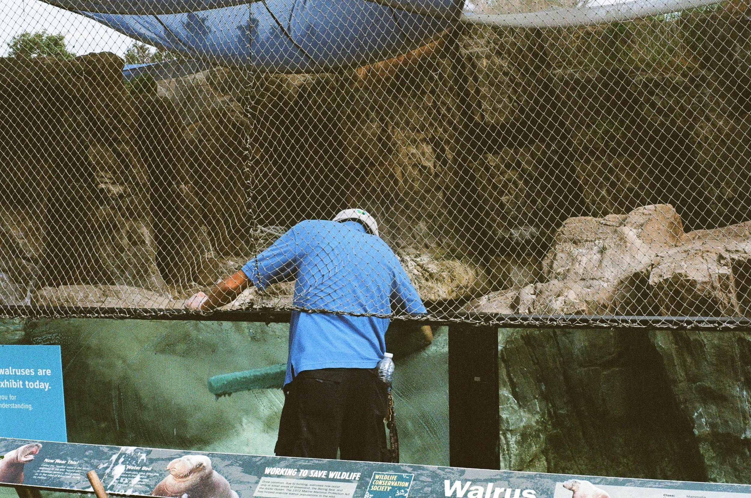 12630002-1.jpg
