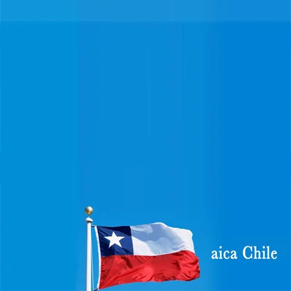 aica chile visual.jpg
