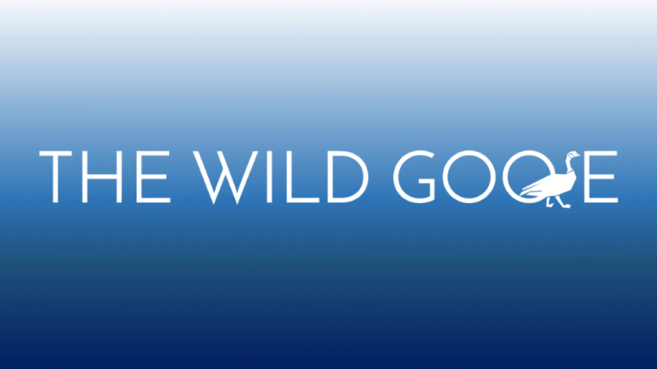 Wild goose.jpg