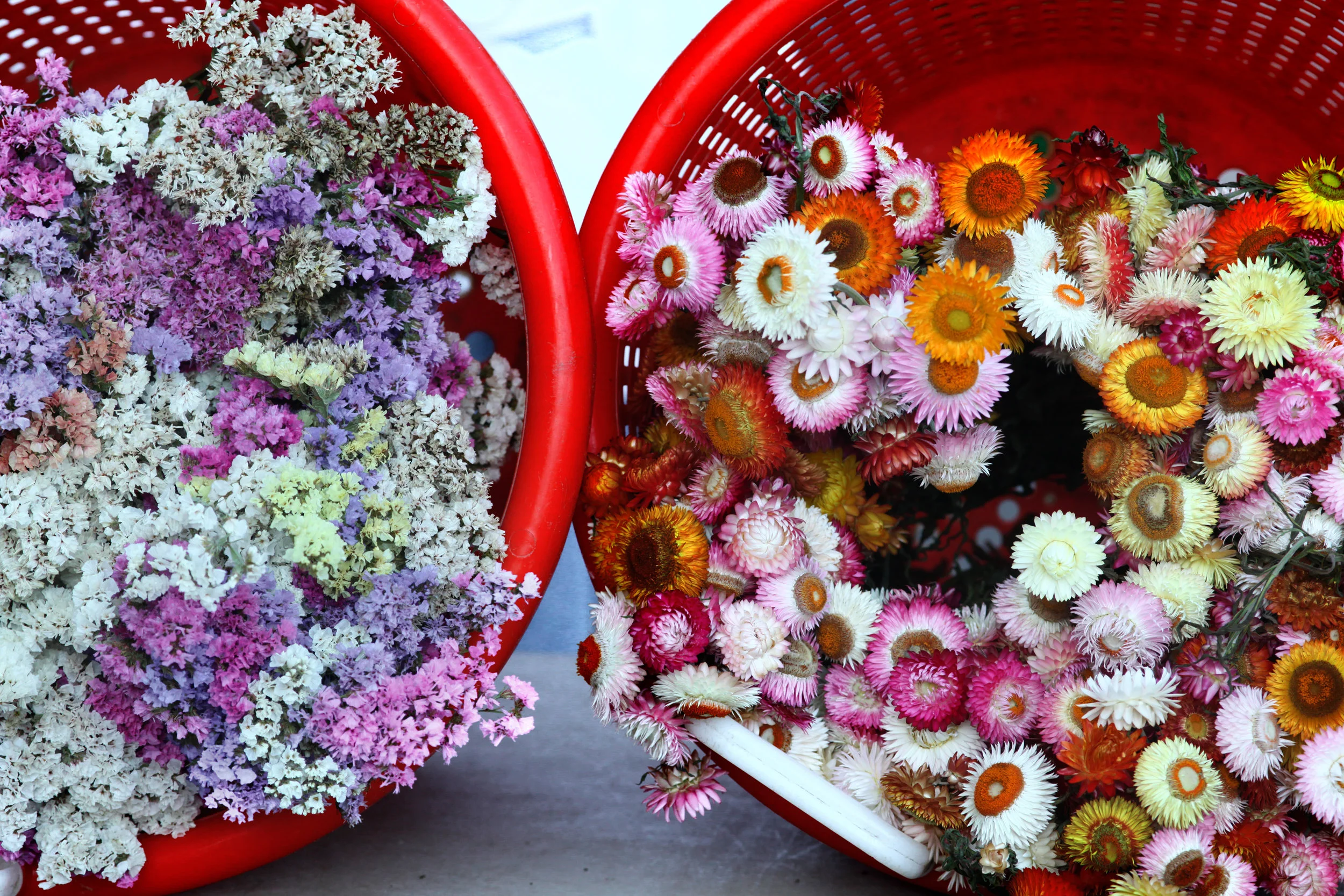 Party in the Parklet on April 28: Music, food, rummage sale and more