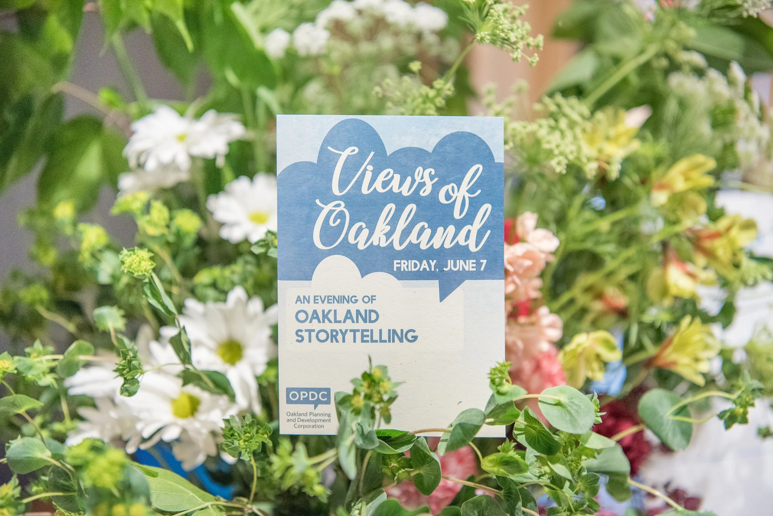 Thank you for helping us exceed our goal! 