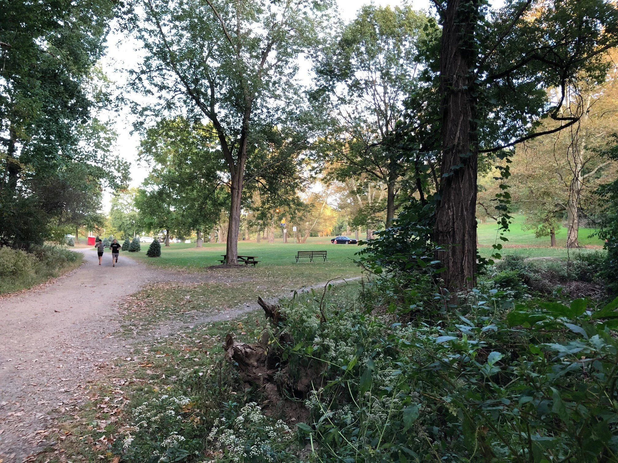 Four Mile Run Stormwater Improvement Project Update