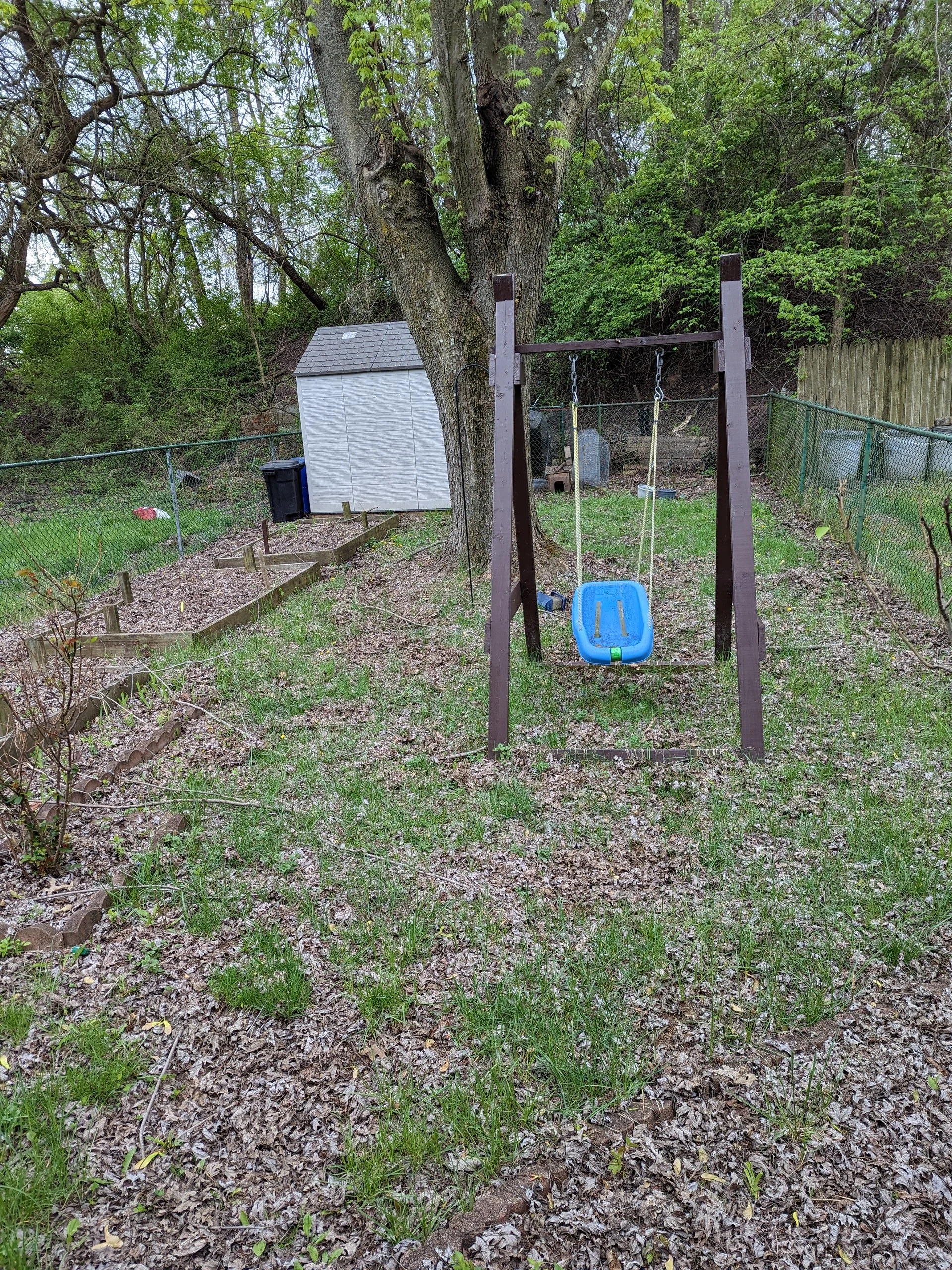 3772 Orpwood backyard.jpg
