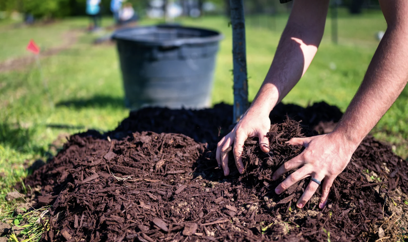 DPW: Free Mulch and Compost