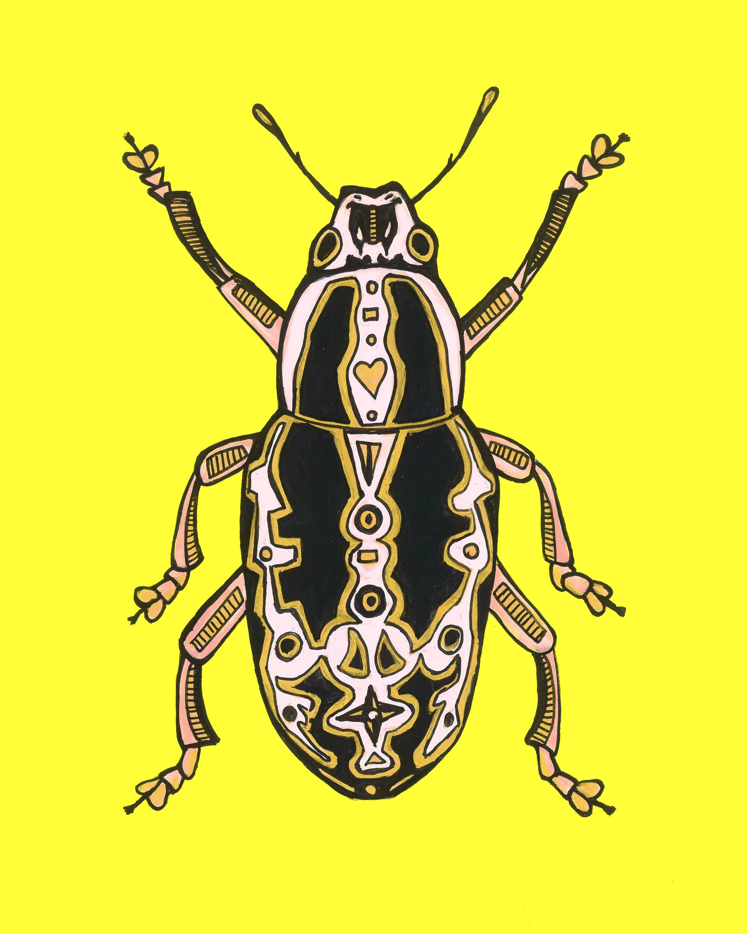 PinkBug.jpg