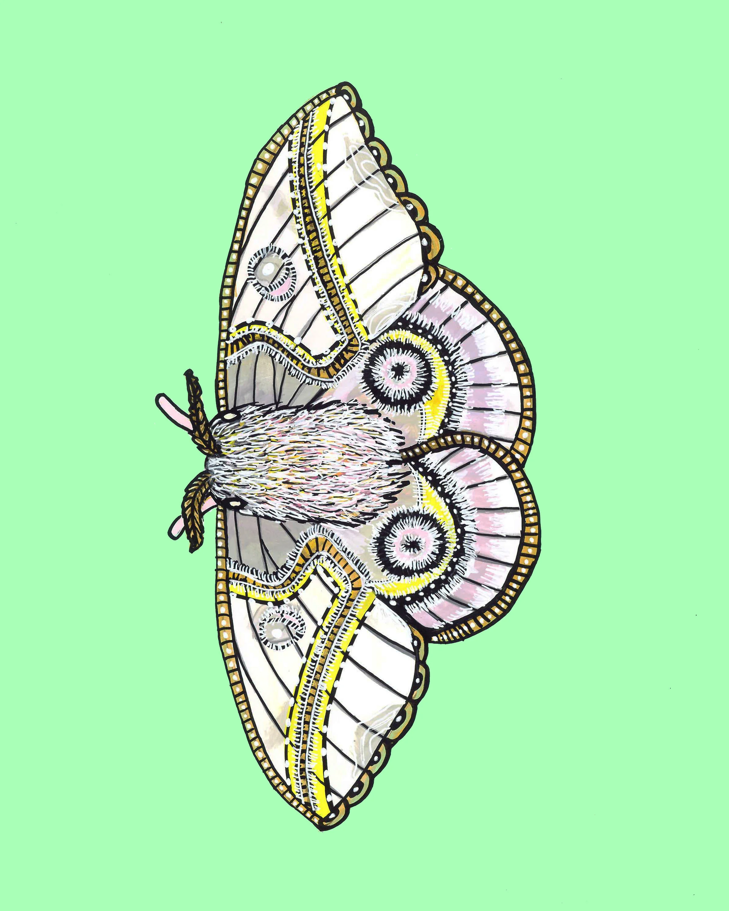PreatyMoth.jpg