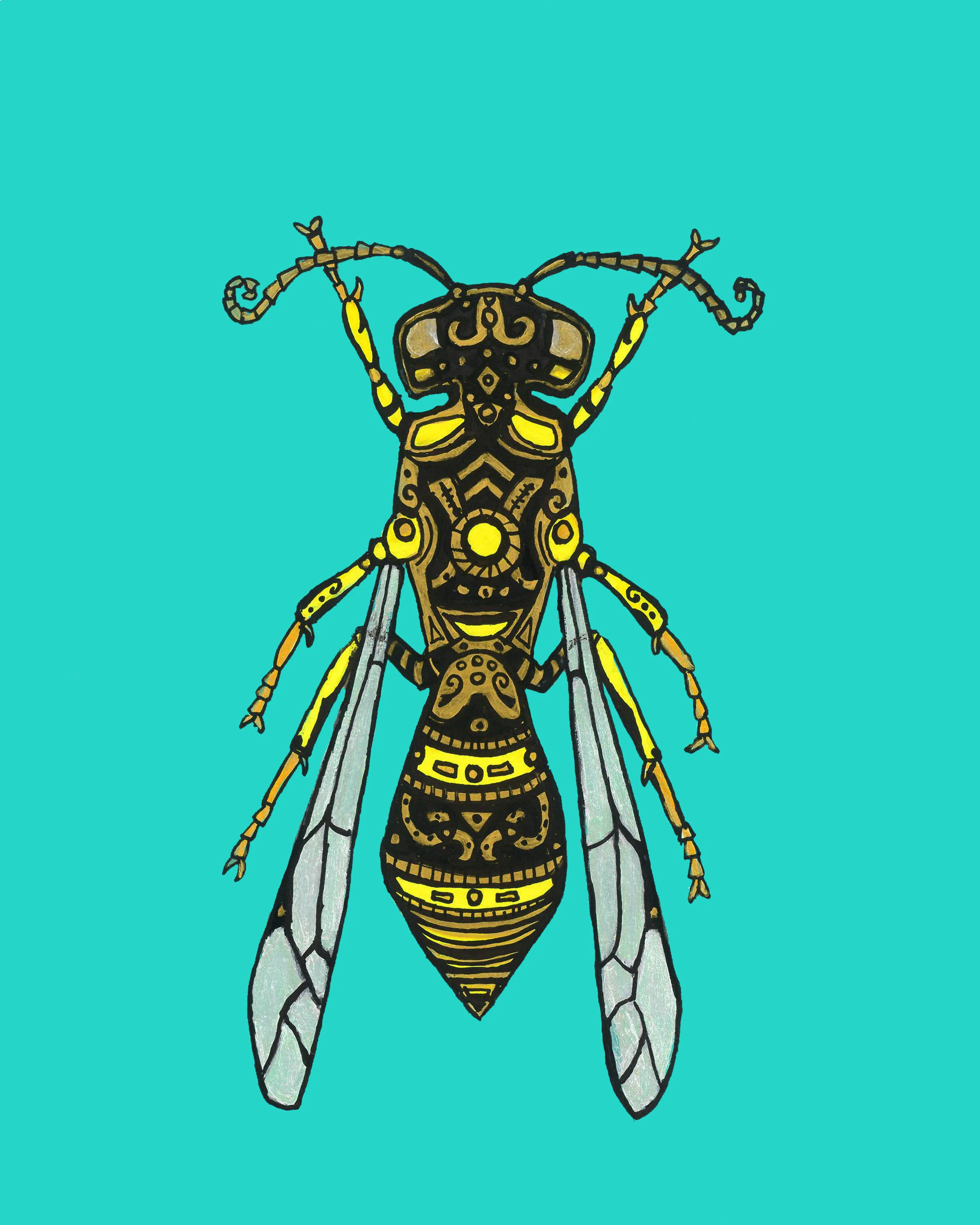 Wasp.jpg
