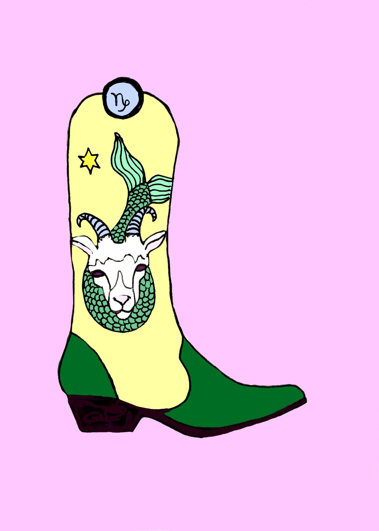 Capricornbootweb.jpg