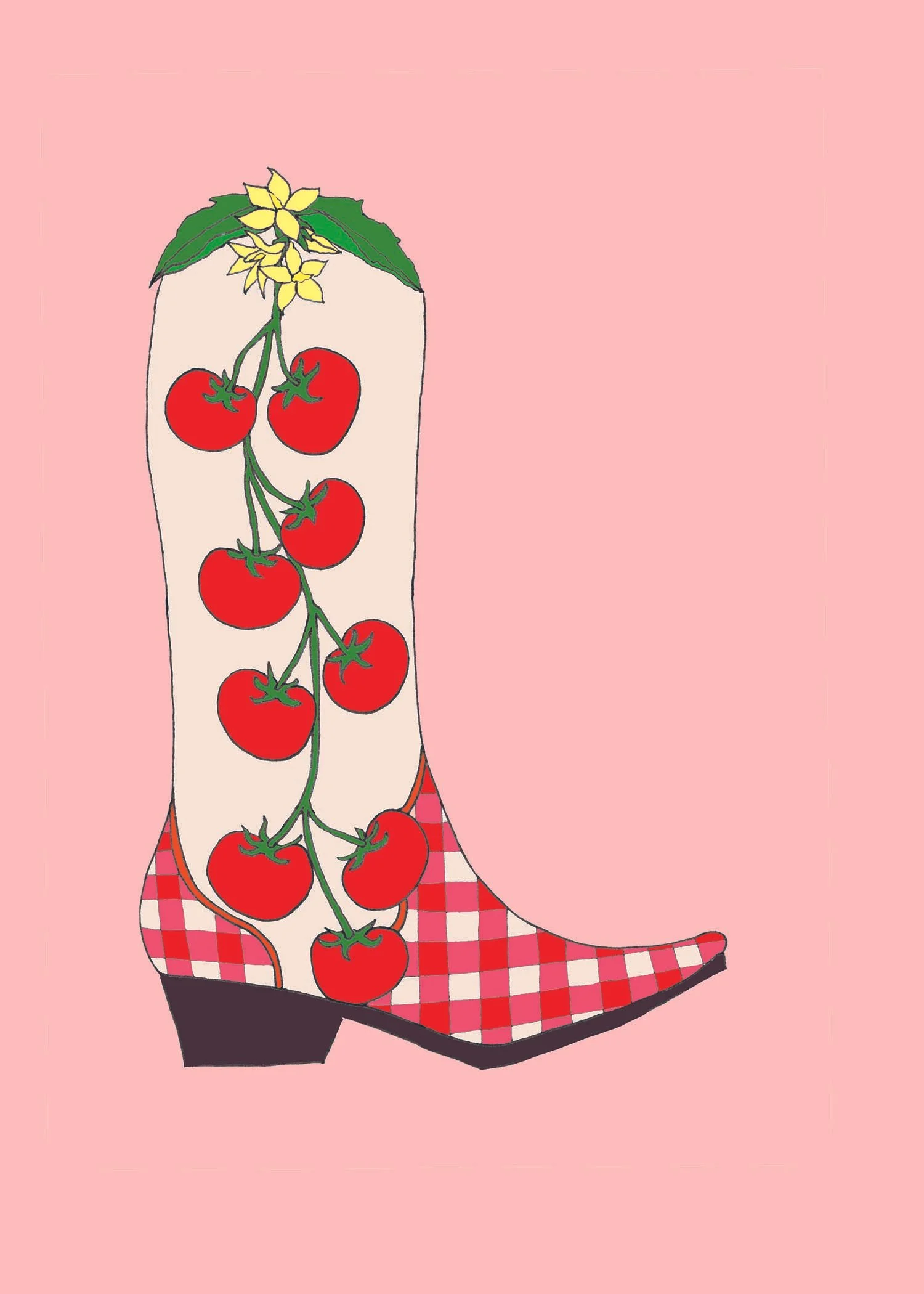 tomatoboot5X7C1WEB.jpg