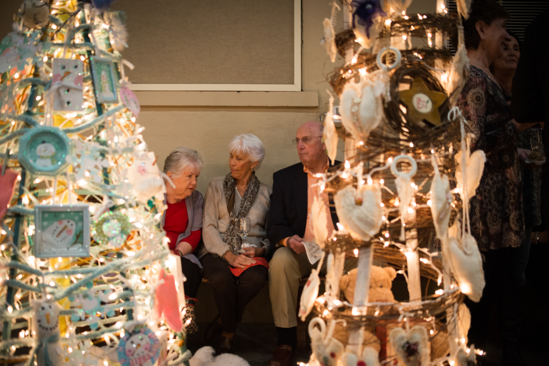 Oden_FestivalOfTrees2017-5325.jpg