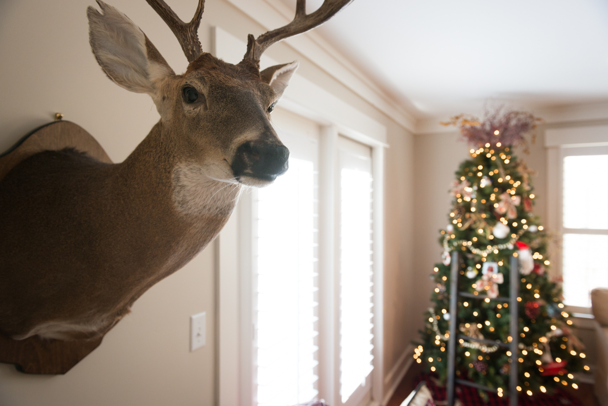 Oden_XmasParadeofHomes-6088.jpg