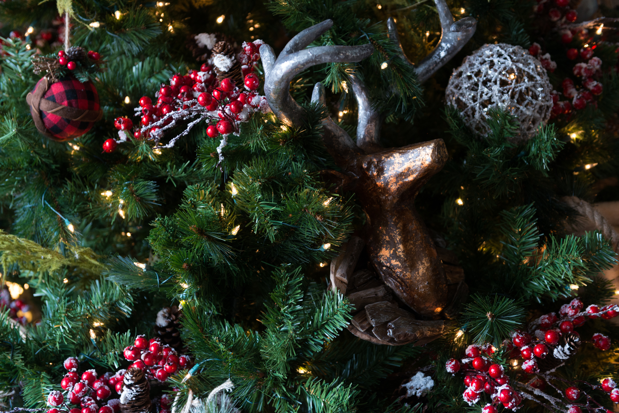 Oden_XmasParadeofHomes-6147.jpg