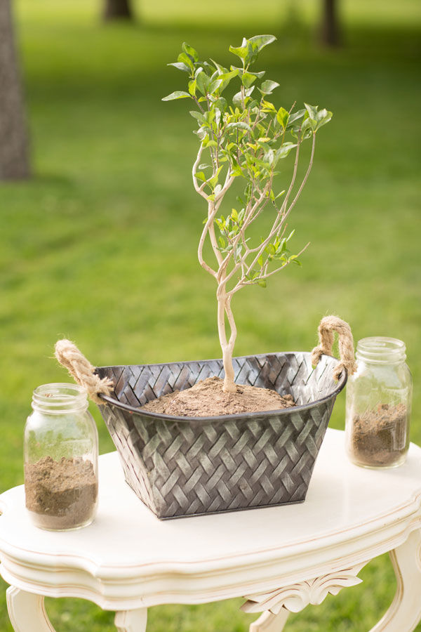 Tree planting ceremony