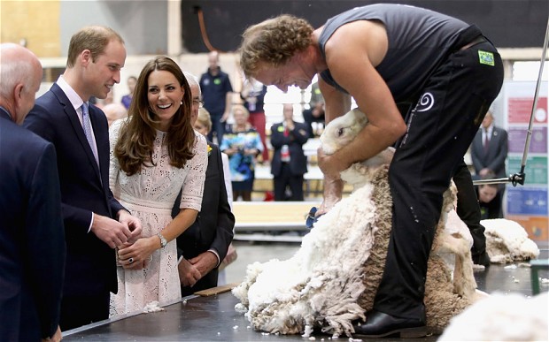 While touring an Alpaca Farm in New Zealand, a farmer handed some freshly sheared wool to Kate. She turned to William and said "you need it more than me", pointing to his head. 