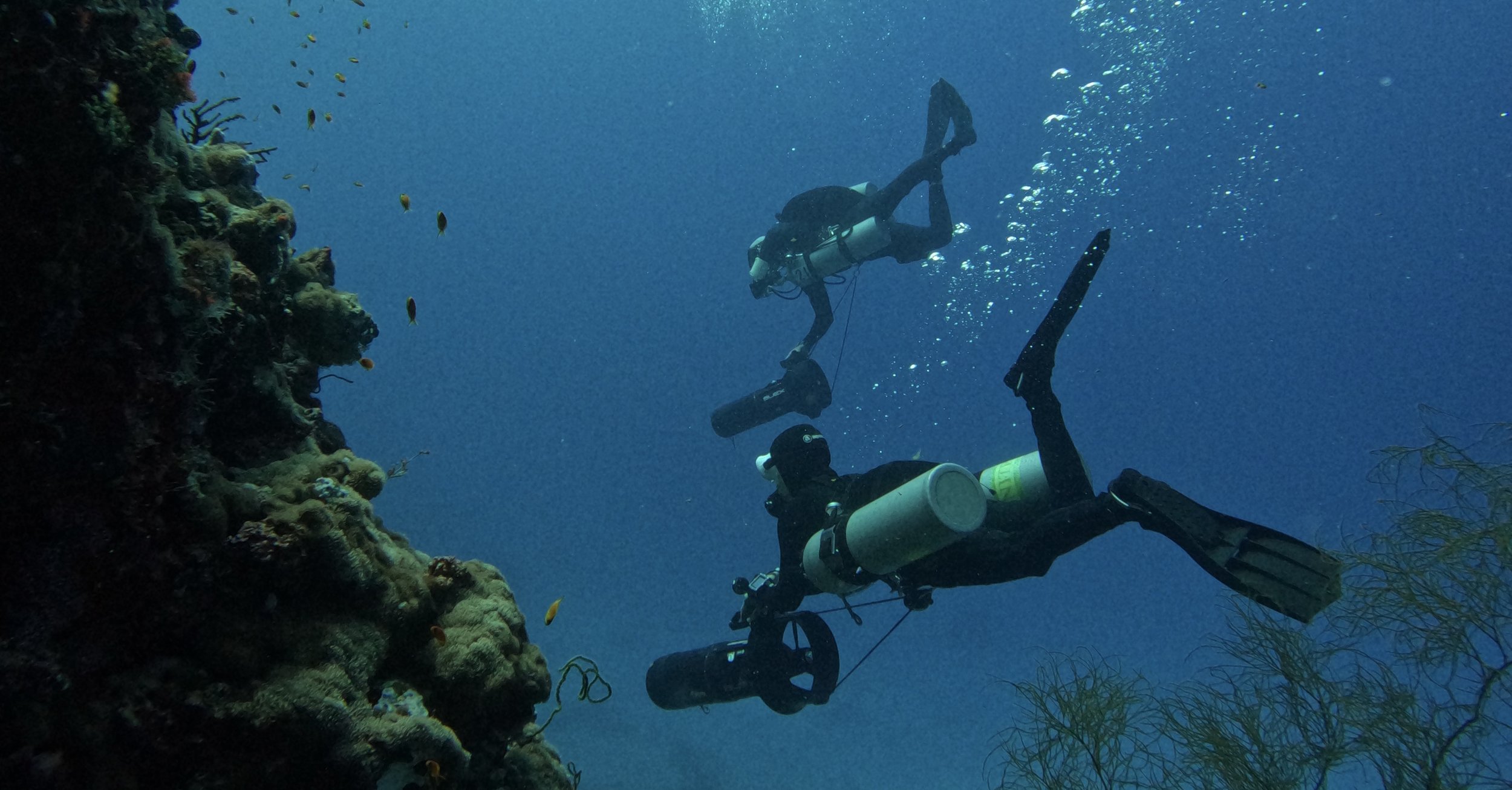 GPTempDownload 4.jpg