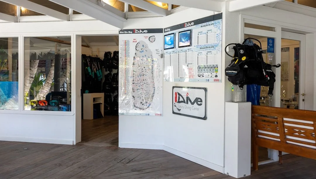 dc idive-4.jpg