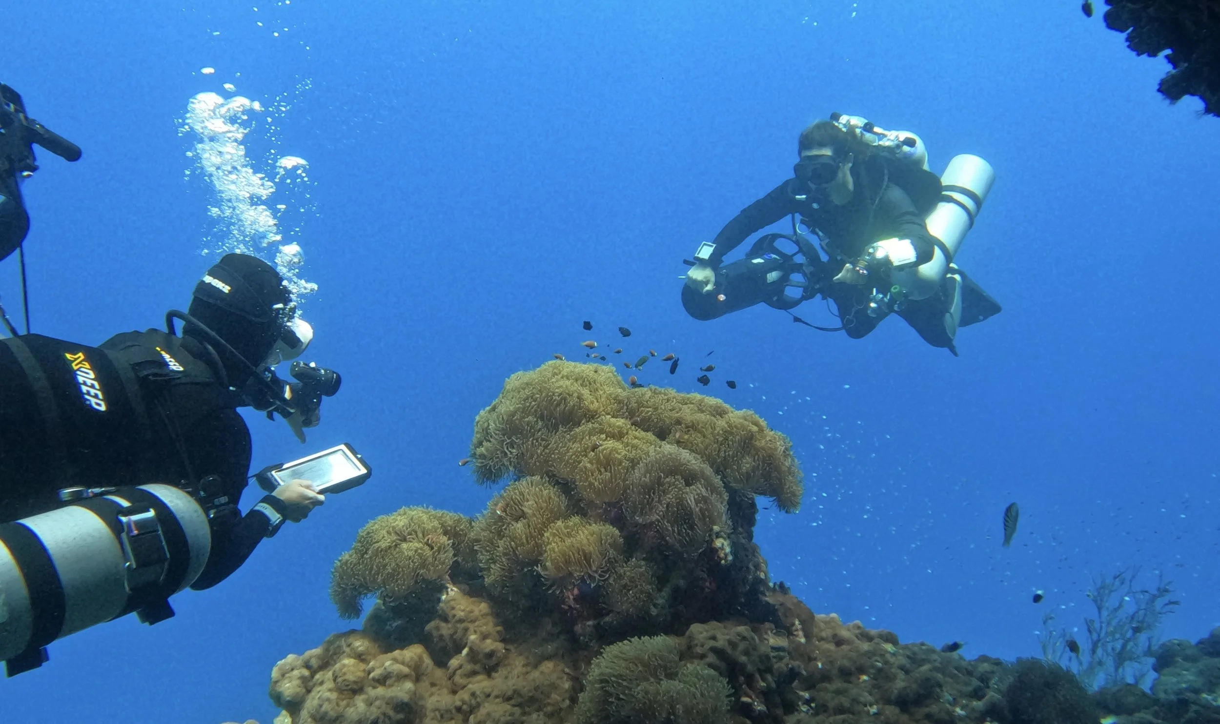 GPTempDownload 3.jpg