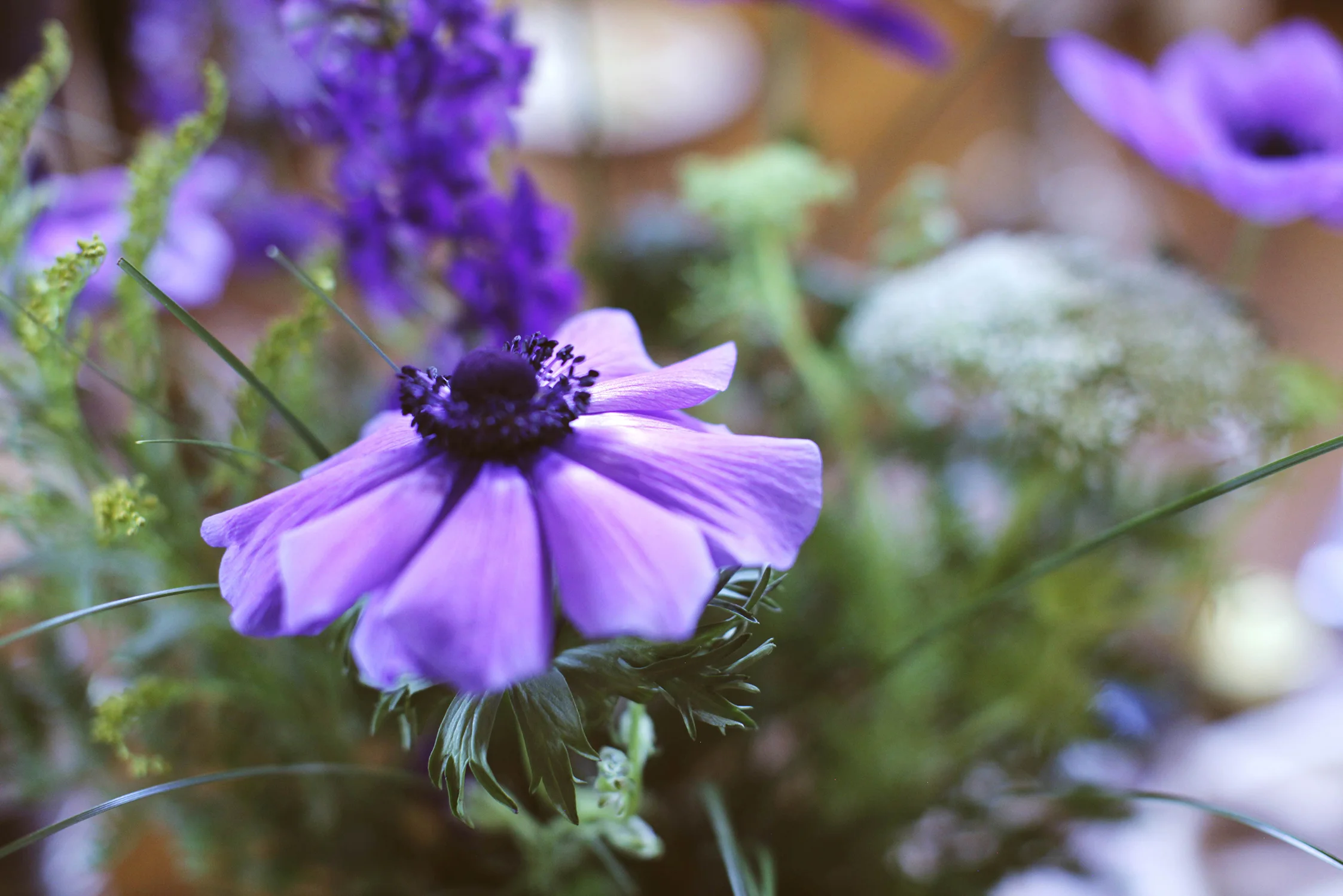 _MG_9060 (0-00-00-00).jpg