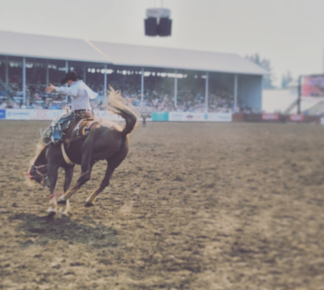 rodeo weekend + september