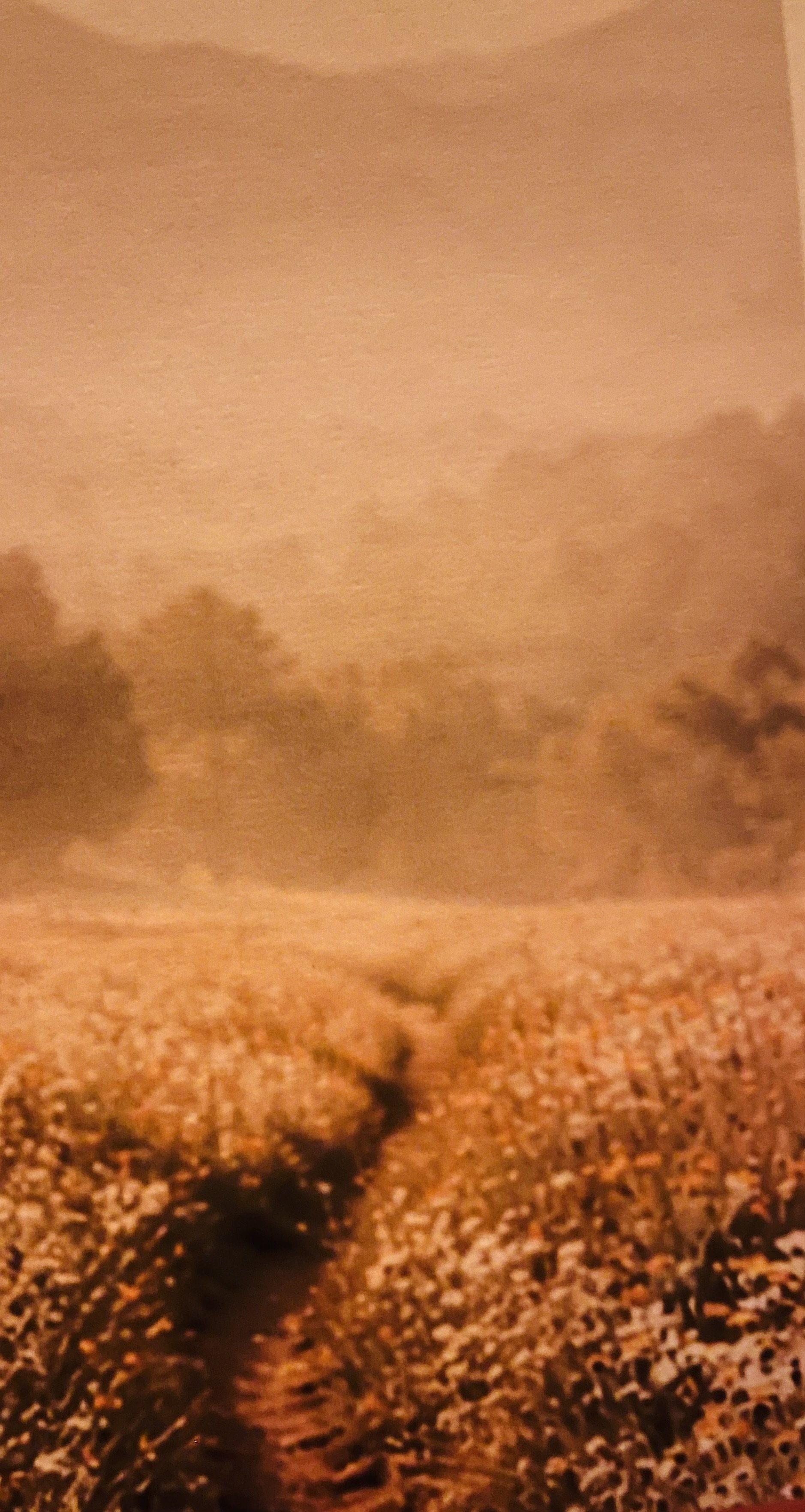 kindred life coaching w/ maddy