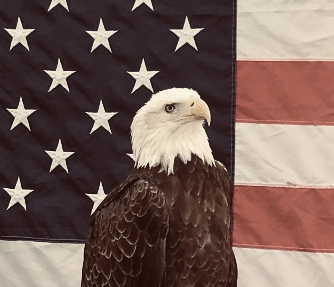 fourth of july 