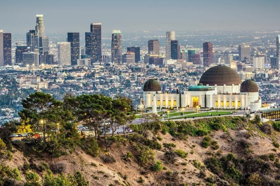 Domo Real Estate Group