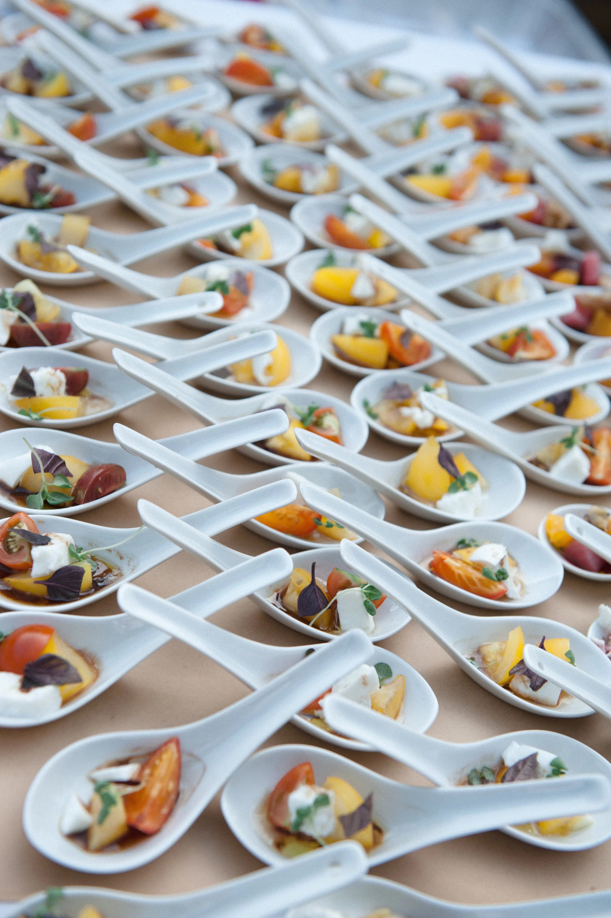 Stephanie Hall - evco DSC_1723.KEk100p.JPG