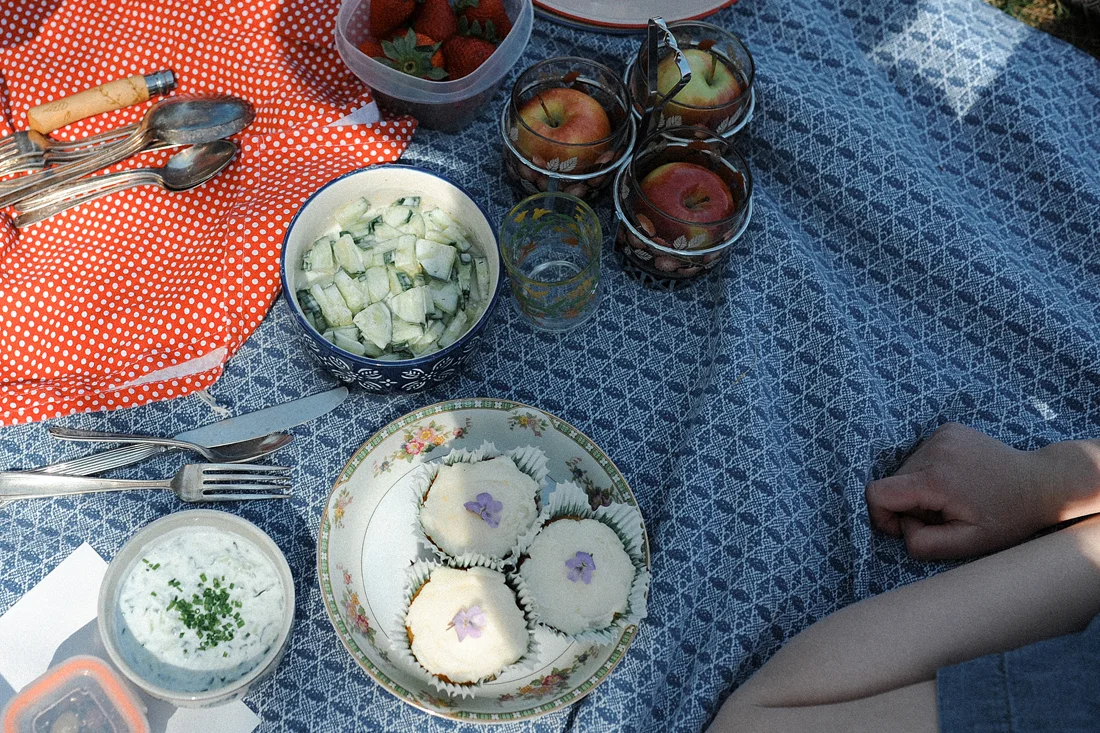 Picnic 9050-1100.jpg