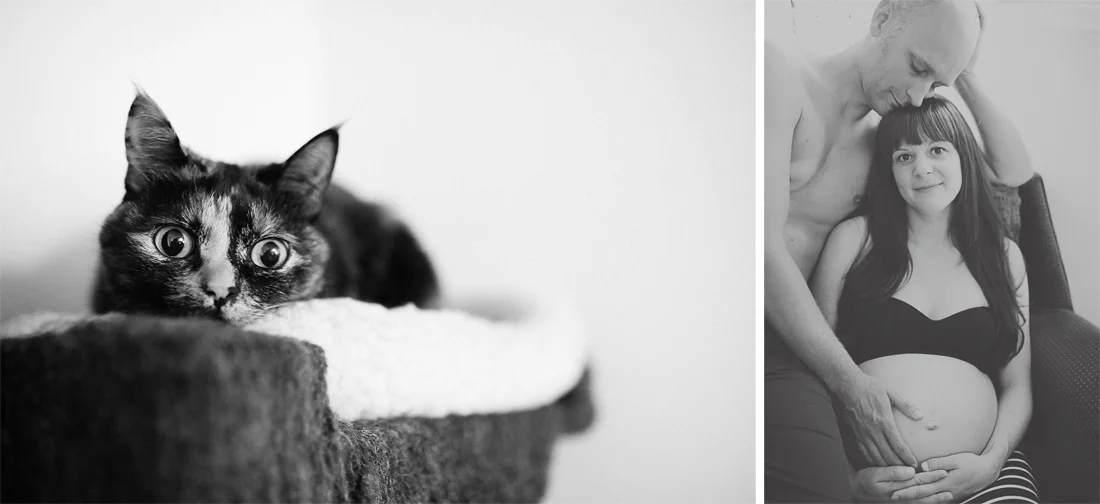 cat nursery maternitiy.jpg