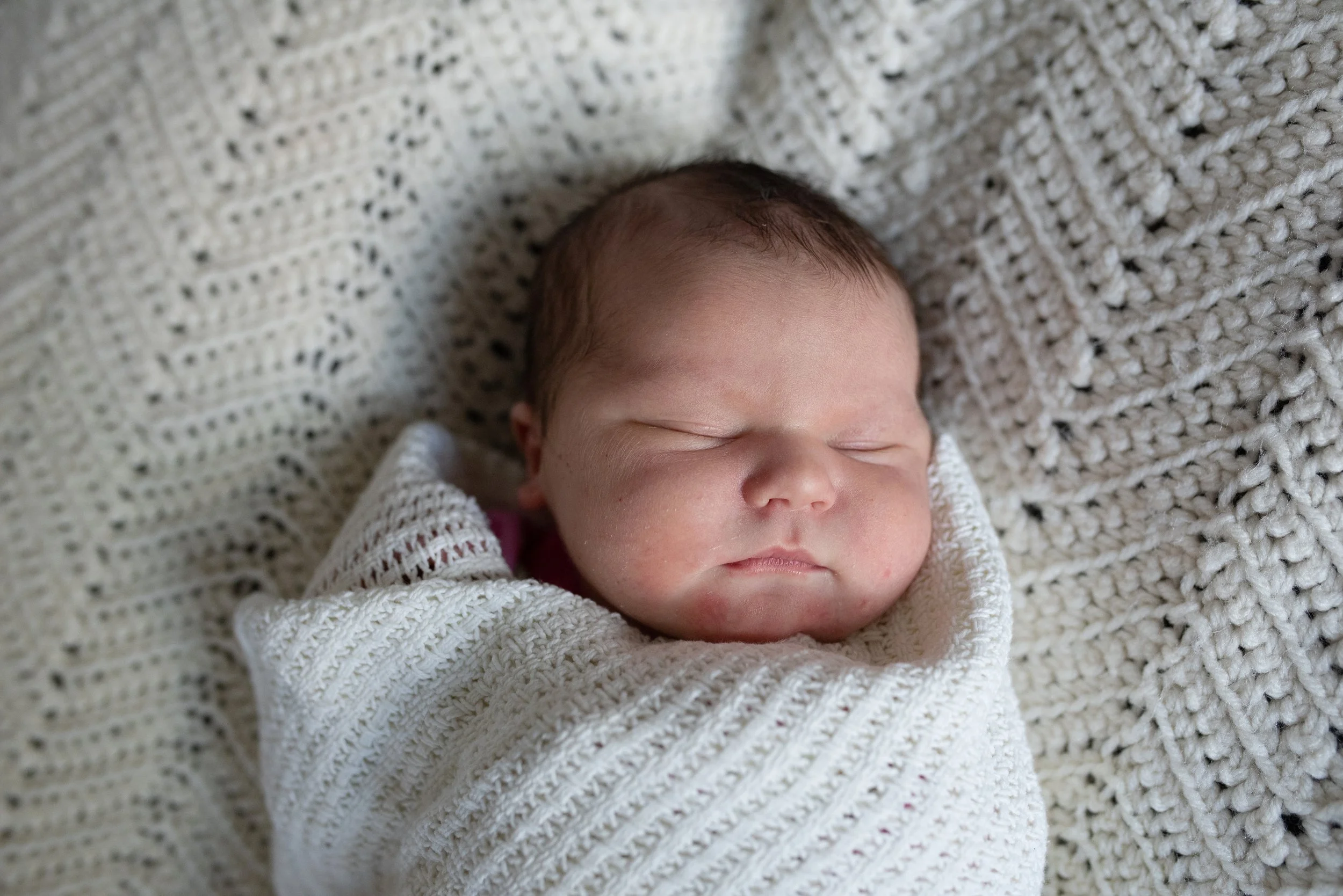 Domes 7562yesyes.JPG