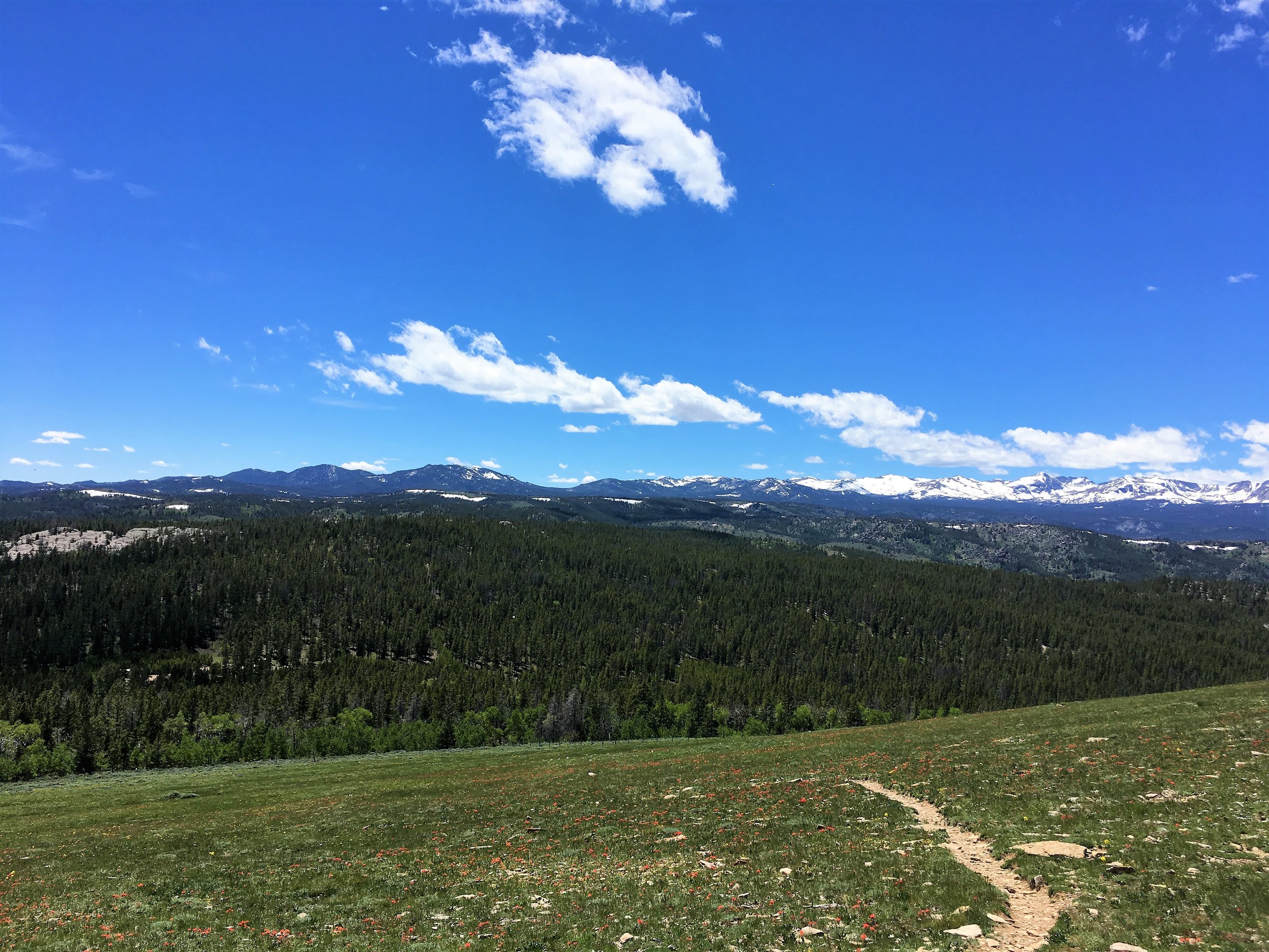 Aspen Glade Approach