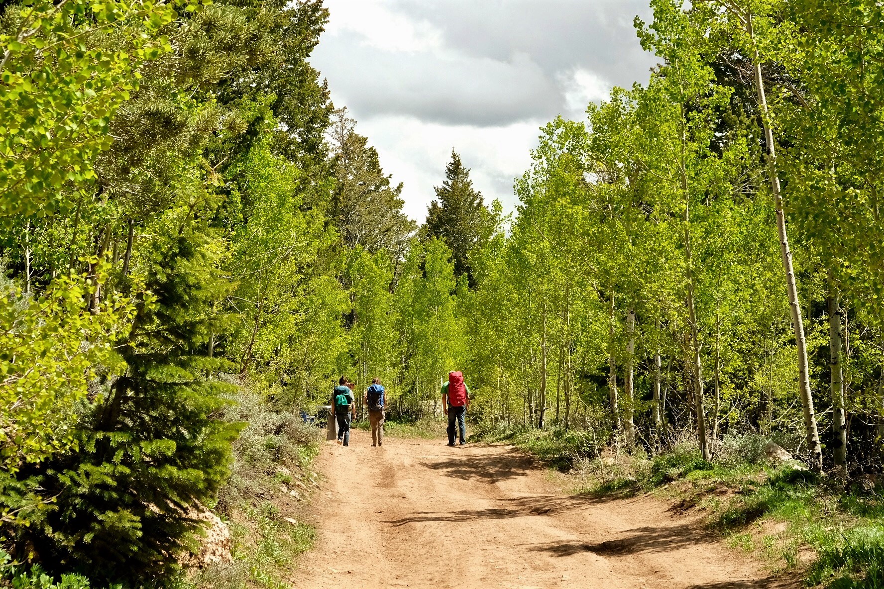 Road to Camping & OK Corral
